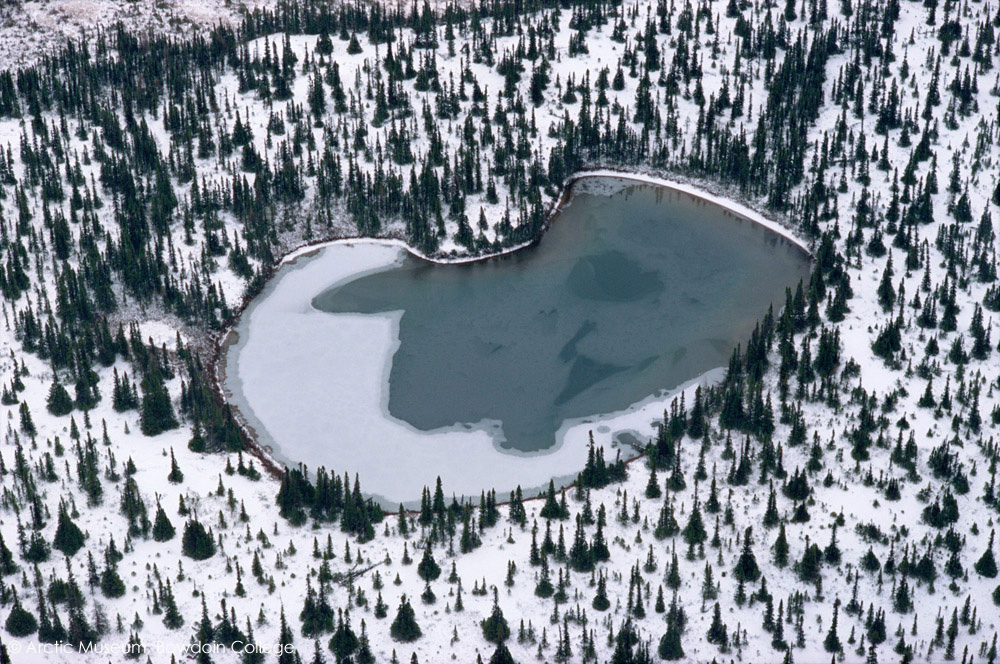 Aerial view of a lake freezing over in the autumn surrounded by snow covered boreal forest in Labrador. Canada. 1997