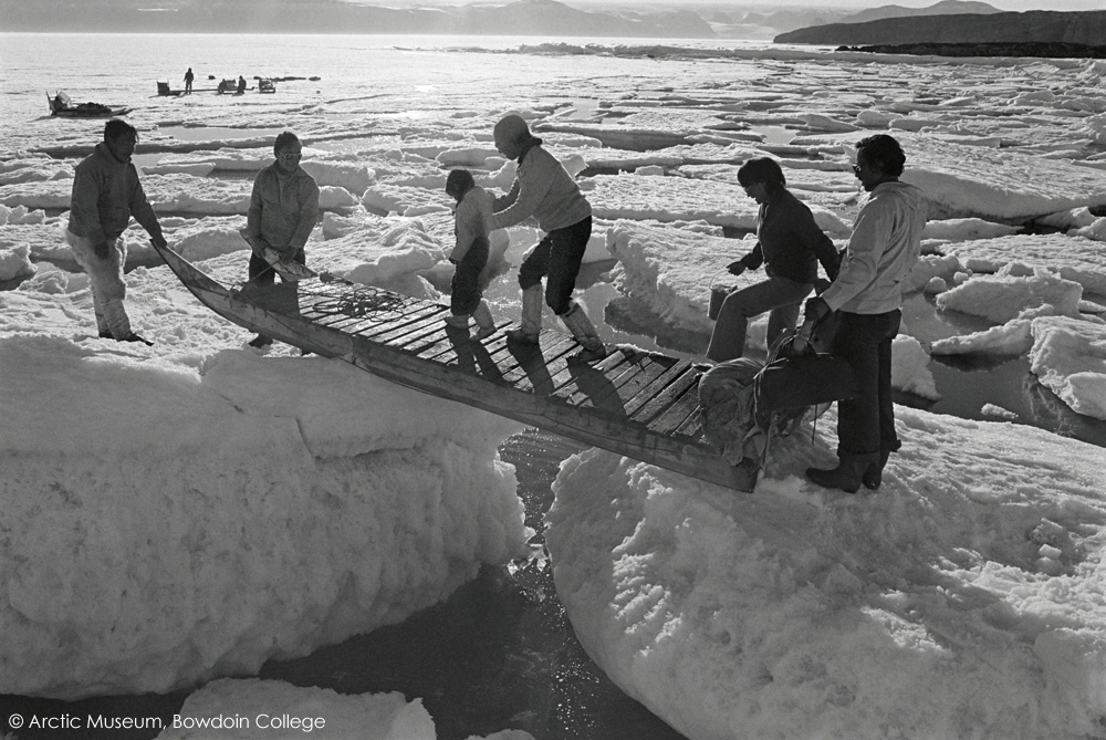 Inuit family use a sled as a bridge to cross a deep gap between ice floes. Qeqertat. Northwest Greenland. 1977